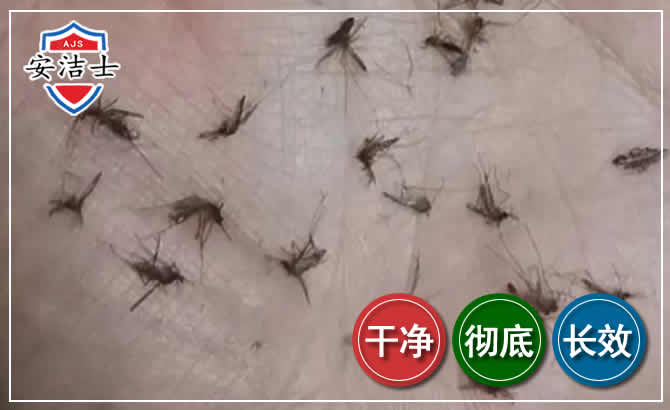 浦东新区蚊子防治-灭蚊