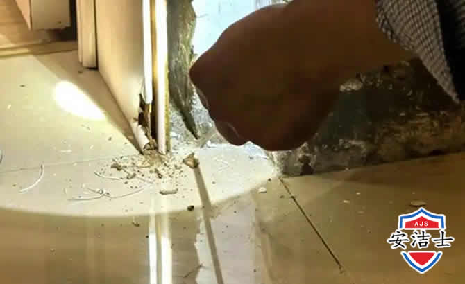 浦东新区房屋建筑防治白蚁