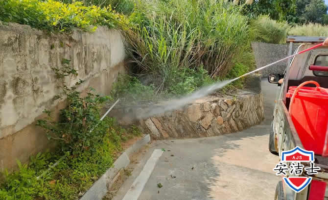 浦东新区道路堤坝白蚁防治