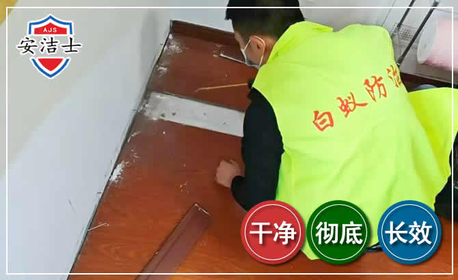 浦东新区除四害现场