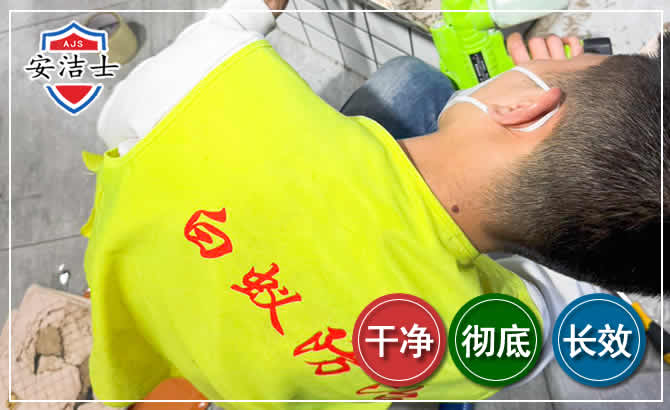 浦东新区白蚁根治现场